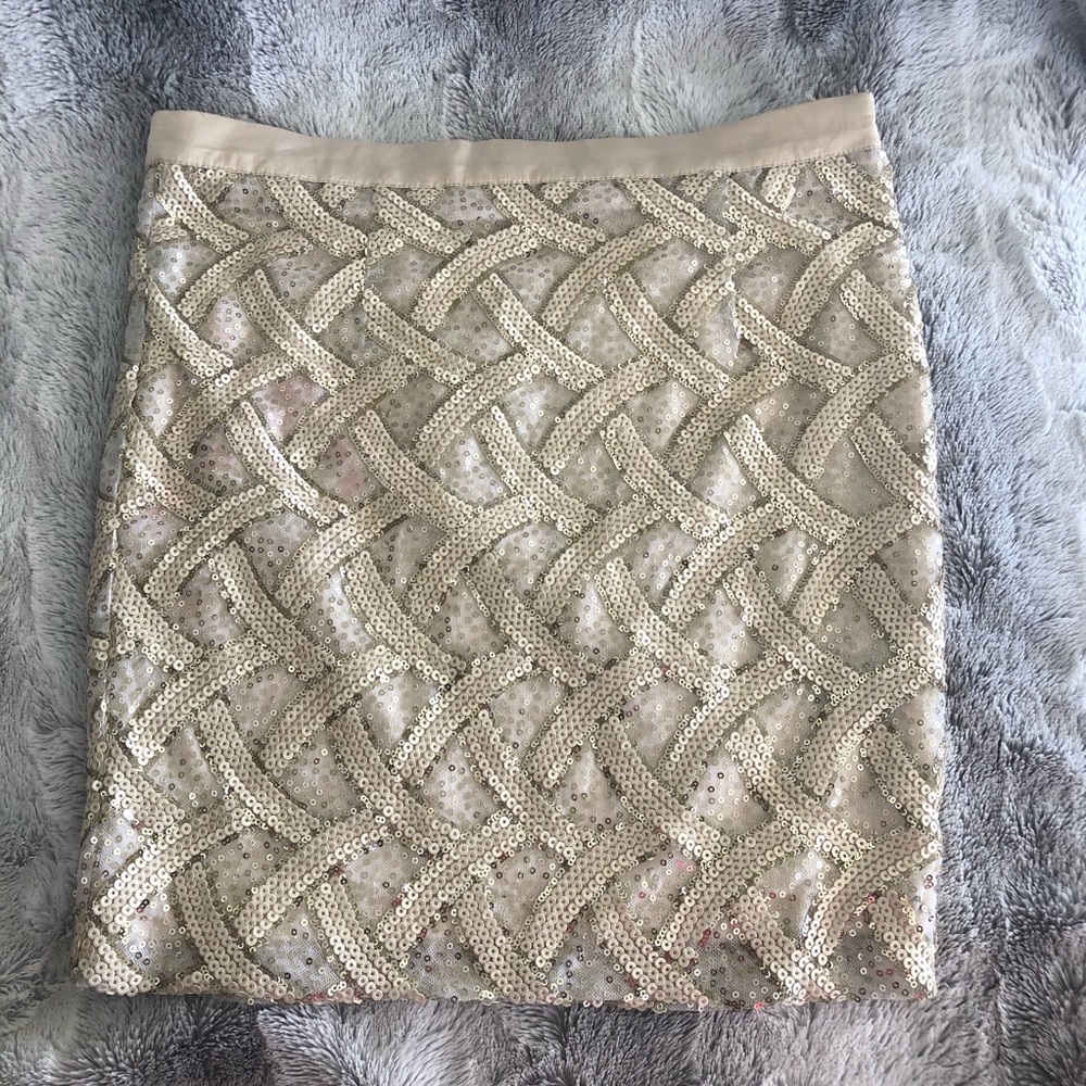 Beige and Gold Sequin Skirt - Picture 3 of 6